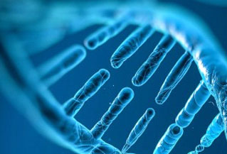 diSulfo-Cy5 DBCO/二苯基環(huán)辛炔(Methyl)
