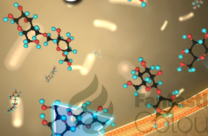 綠色熒光FITC標(biāo)記甘草酸 Glycyrrhizic Acid， FITC-甘草酸