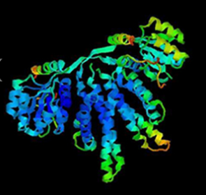 磷脂偶聯(lián)蛋白試劑盒 (50mg 100mg偶聯(lián)量)