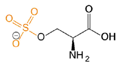 磺酸化絲氨酸，O-Sulfo-L-serine，Ser(SO3H2)