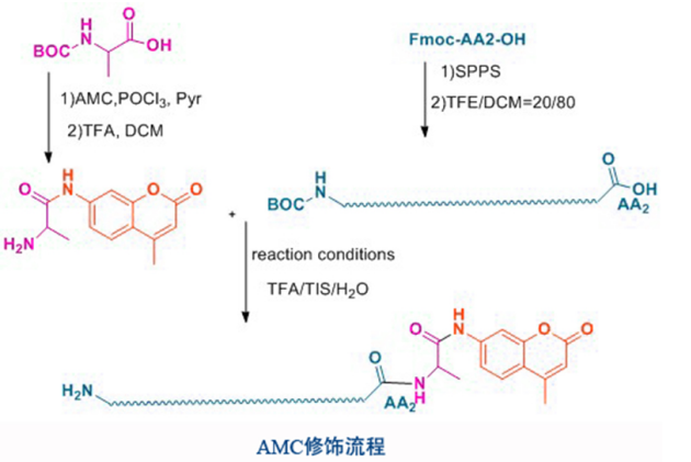 熒光物質(zhì)的激發(fā)光波長