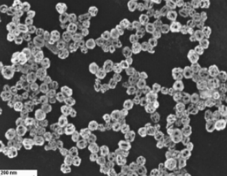 檸檬酸鈉修飾的金納米籠