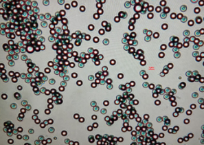 藍(lán)色熒光微球