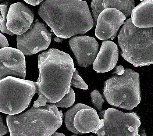 摻鐵鈦酸鍶Fe:SrTiO3單晶  <100>