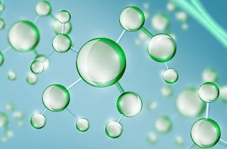 Cy5、Cy3、FITC、生物素、瓊脂糖標(biāo)記黑接骨木凝集素 (SNA, EBL)