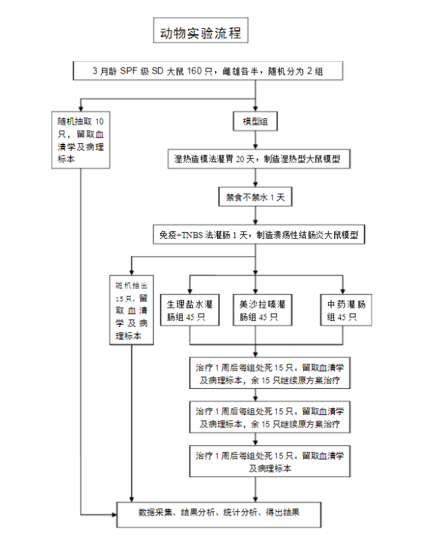 動物造模的實驗原理以及實驗流程