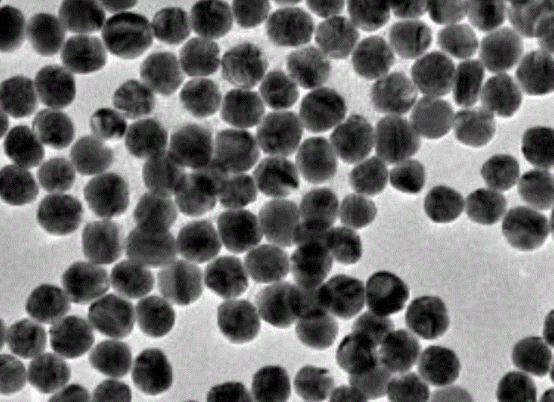 500nm磁性氧化鐵納米球