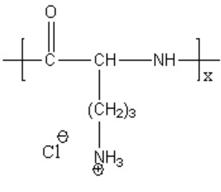  PLOC 聚L鳥(niǎo)氨酸鹽酸鹽