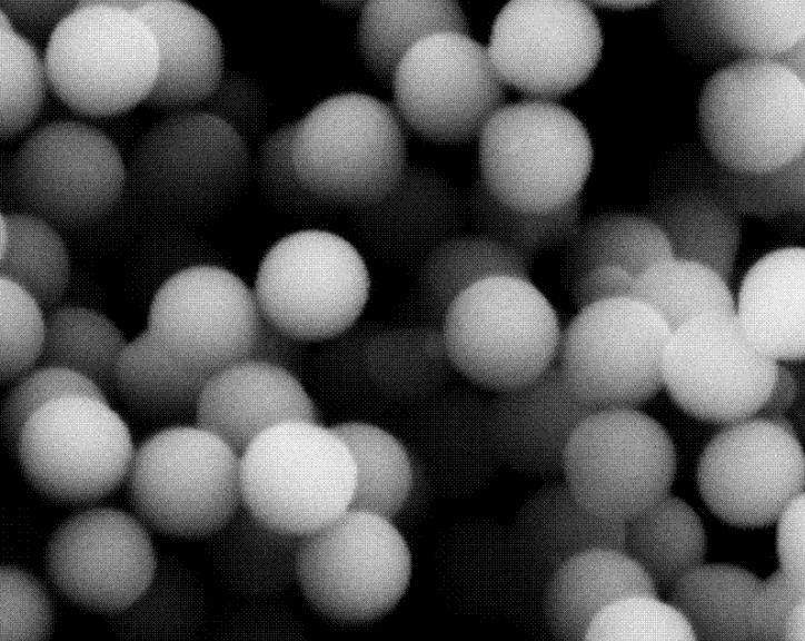 錳鋅鐵氧體納米晶