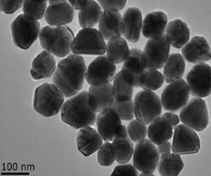 PLL修飾Fe2O3顆粒；PLL@Fe2O3