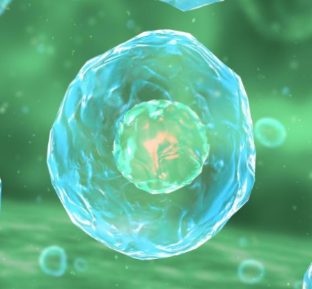 光敏藥物e6納米囊泡