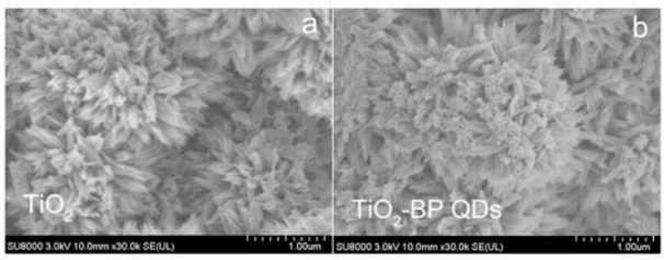 二氧化鈦/黑磷量子點(diǎn)復(fù)合材料
