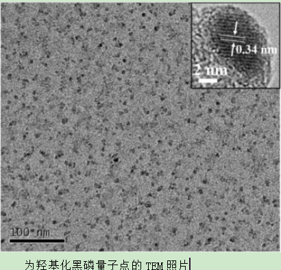 羥基化黑磷量子點(BPQDs)
