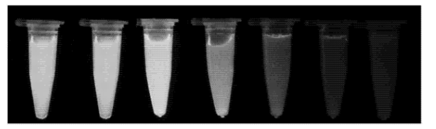 L-半胱氨酸修飾CdTe/CdS量子點(diǎn)
