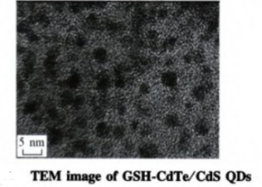 谷胱甘肽修飾CdTe/CdS量子點(diǎn)