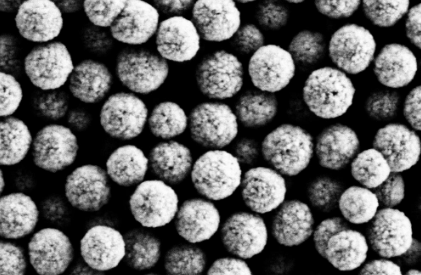 鏈霉親和素磁珠  310±20 nm