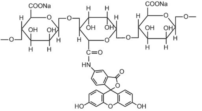 綠色熒光素標記海藻酸鈉