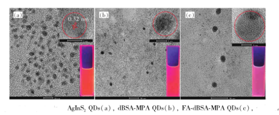 葉酸修飾AgInS量子點