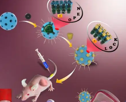 碳酸鈣-聚多巴胺納米粒包載低氧激活前藥替拉扎明，TPZ@CaC03-PDA