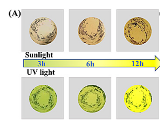 TP-COF與COF-TpMA具有光導(dǎo)性的COFs材料