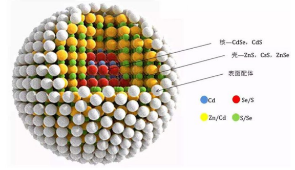 水溶性碲化鎘/硒化鎘/硫化鋅量子點(diǎn) 