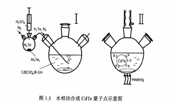 蛋白質(zhì)核糖核酸酶修飾碲化鋅ZnTe量子點