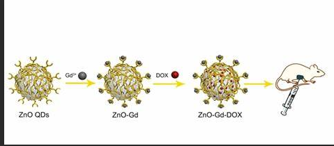 Gd@ZnO量子點(diǎn)表面修飾阿霉素