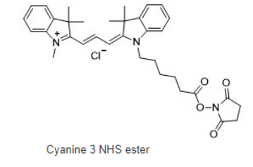 Cy3 NHS ester，cas:146368-16-3，Cy3-琥珀酰亞胺/活化酯