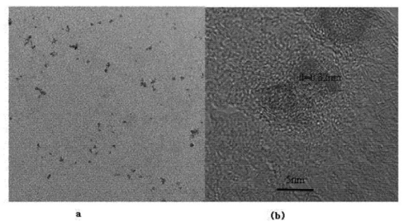 蛋白質(zhì)核糖核酸酶修飾的碲化鋅量子點