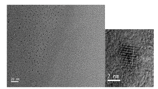 CuInSe2銅銦硫近紅外二區(qū)量子點偶聯培美曲塞