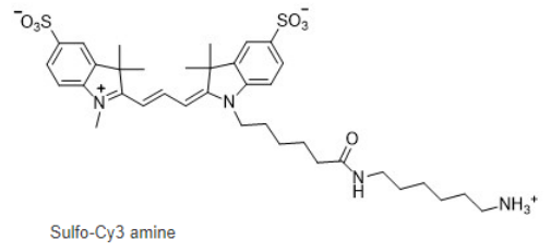 Sulfo-Cyanine3 amine，cas:2183440-43-7，水溶性CY3氨基