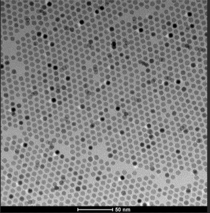 近紅外PbS量子點(diǎn)(QDs)修飾ZnO納米片復(fù)合膜