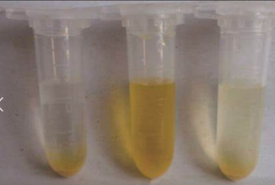 1-丁基吡啶鎓三氟乙酸鹽離子液體[C4py][TfAc]