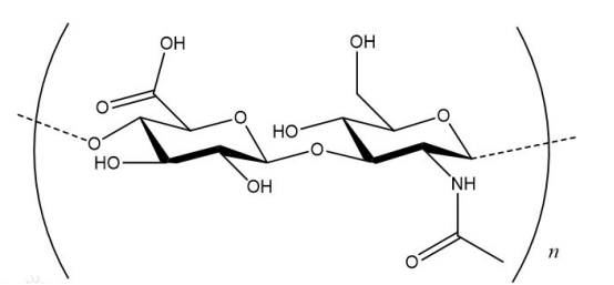 半乳糖-聚乙二醇-透明質(zhì)酸