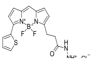 BDP 558/568 hydrazide，BDP 558/568酰肼