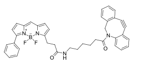 BDP R6G DBCO，BDP R6G染料修飾二苯并環(huán)辛炔