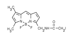 BODIPY FL 碘乙酰胺（BODIPY FL C1-IA，N-(4,4-二氟-5,7-二甲基-4-硼雜-3a,4a-