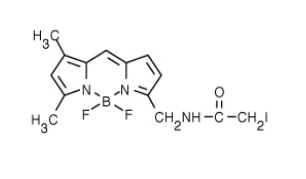BODIPY FL 碘乙酰胺（BODIPY FL C1-IA，N-(4,4-二氟-5,7-二甲基-4-硼雜-3a,4a-