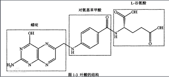 巖藻多糖-葉酸