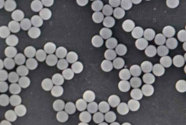 化學(xué)發(fā)光磁性微球