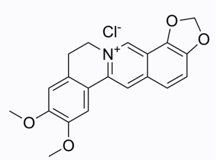 cas:889665-86-5 Epiberberine chloride 表小檗堿氯化物