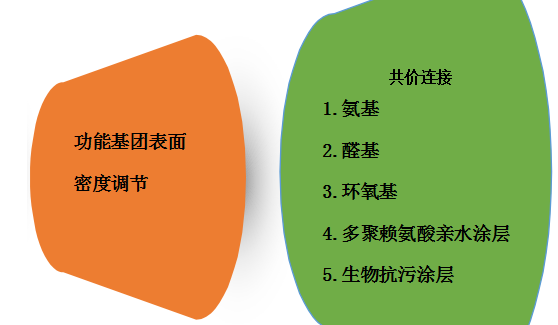 多聚賴氨酸，氨基，醛基修飾的載玻片