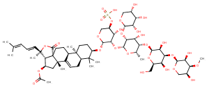 Cucumarioside H