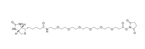 cas:2055045-04-8 Biotin-PEG6-NHS ester