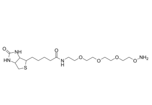 BIOTIN-PEG3-OXYAMINE 生物素-三聚乙二醇-羥胺鹽