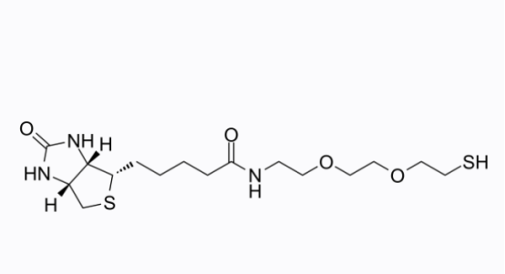 Biotin-PEG2-SH 生物素-二聚乙二醇-巰基