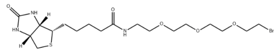Biotin-PEG3-Br cas:1041766-91-9