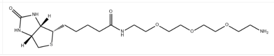Biotin-PEG4-amine cas:359860-27-8