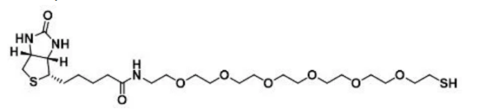 Biotin-PEG6-SH 生物素-六聚乙二醇-巰基