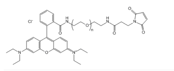 RB-PEG-Mal 羅丹明聚乙二醇馬來酰亞胺